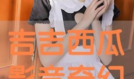 吉吉在线观看,畅享海量精彩，解锁欢乐时光