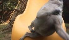 巴哥爆料典藏视频下载百度云,揭秘百度云下载全攻略