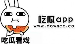 网红黑料吃瓜视频网站,吃瓜网站带你领略网络舆论风云