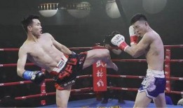 宋少秋最新爆料,娱乐圈背后惊人内幕