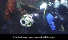 鱿鱼黑科技爆料视频,颠覆传统捕捞，未来海洋探索新篇章
