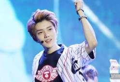 思聪爆料鹿晗视频大全下载