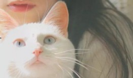 猫脸女孩爆料视频下载,背后真相令人震惊