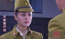 天狼星行动电视剧全集在线观看,揭秘神秘特工的惊险传奇