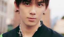 吴磊老师爆料视频大全,揭秘娱乐圈幕后故事