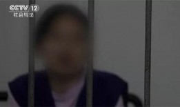 石狮网红爆料事件始末视频,真相与争议的漩涡