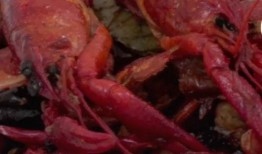 爆料小龙虾做法视频教程