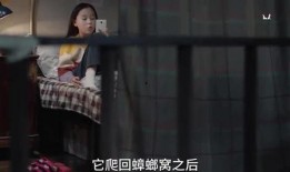 姐姐出场爆料视频,独家爆料视频大公开