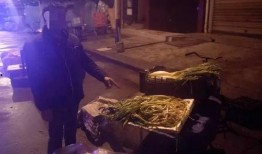 偷冰大盗在线观看,冰封世界的神秘盗贼传奇