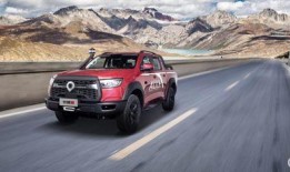 浦北天天网皮卡最新爆料,揭秘皮卡市场新动态