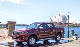 浦北天天网皮卡最新爆料,揭秘皮卡市场新动态