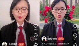 美女律师 在线观看,在线观看，揭秘法庭风云