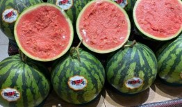 国内免费吃瓜网站