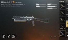 最新5级升级枪爆料,尖端科技，火力全开！