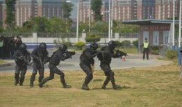 广西公安局最新爆料,揭秘重大案件侦破背后的故事