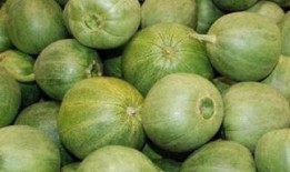 甜瓜爆料完整视频在线观看,揭秘幕后真相，带你走进事件核心