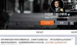 最近狗仔爆料事件新闻发布,最新事件深度解析