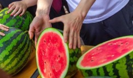 吃瓜免费进,畅享娱乐盛宴！