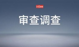 爆料生活的视频,视频爆料背后的真实故事