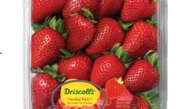 中转盘最新爆料甜蜜草莓,中转盘最新爆料揭秘浪漫爱情故事