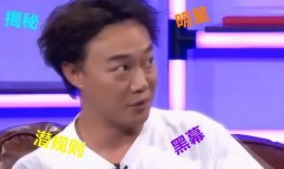 娱乐圈12点爆料的人,揭秘明星背后的真实人生
