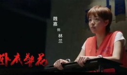 高亚麟爆料视频,娱乐圈背后的惊人真相