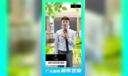 陇南都市爆料新闻视频,最新视频揭露城市热点事件