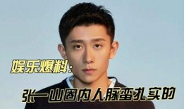 张一山圈内爆料,独家爆料背后的真实故事
