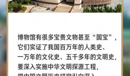 广西博物馆爆料案件最新,案件背后真相逐步揭晓