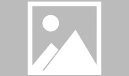 猫猫吃瓜娱乐圈,趣味横生的娱乐圈幕后故事