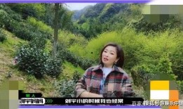 刘宇妈妈直播爆料视频,独家爆料背后的故事