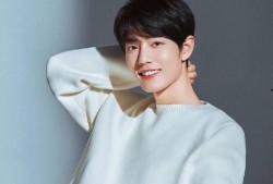 明星热点爆料杨紫肖战视频