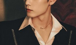 肖战王嘉尔最新爆料,揭秘娱乐圈背后的故事