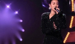 歌手布朗尼爆料视频大全,揭秘歌手背后的故事与精彩瞬间