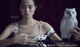 希格雯最新爆料新闻,揭秘娱乐圈惊人内幕