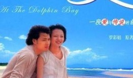 海豚湾恋人电视剧全集在线观看,浪漫爱情与海洋奇遇的完美融合