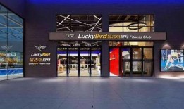 金吉鸟最新爆料视频,揭秘神秘视频背后的惊人真相！