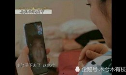 秦海璐爆料杨紫视频播放,揭秘娱乐圈幕后真相