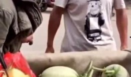 吃瓜免费进,畅享娱乐盛宴！