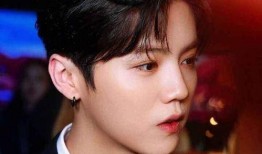 天涯论坛爆料娱乐圈鹿晗