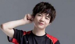 刘青松女友爆料视频播放,揭秘背后真相