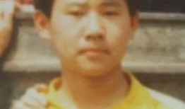 文县网红吃瓜事件始末,一场网络舆论的风暴与反思