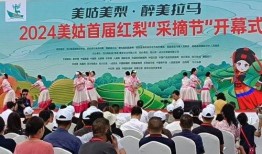 美姑县婚礼爆料新闻报道,传统习俗与现代风尚交融