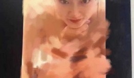 李梦爆料视频,娱乐圈背后的惊人真相