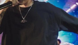 歌手布朗尼爆料视频大全,揭秘歌手背后的故事与精彩瞬间