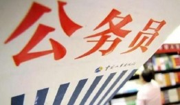 北京公务员爆料最新消息,揭秘公务员体系内部动态与改革动向