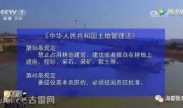 漳浦爆料新闻最新,揭秘某重大事件背后真相