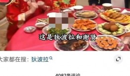 过年爆料视频大全,过年爆料视频大全精彩瞬间大盘点