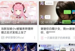 哔哩哔哩小阿彪爆料视频