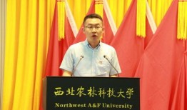 西北农林爆料事件最新消息,最新进展及影响揭秘”